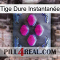 Tige Dure Instantanée 02